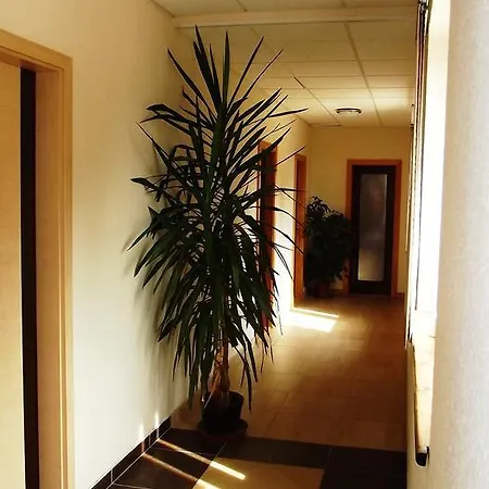 Tuenderszikla Panzio *